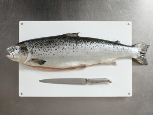 Lachs - eine überbewertete Speise? (c) Foto: Deutsche See Fischmanufaktur