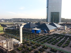 Rooftop-Garten auf dem Dach des Eldorado Shopping Centers
