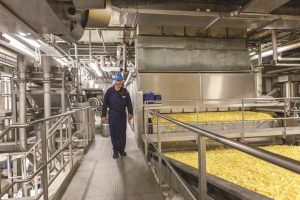Joint Venture: erste Pommes-Fabrik für Russland