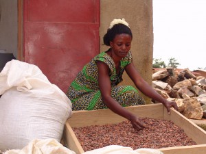 Original Beans - Eine Tafel - Ein Baum. Nachhaltigkeit in der Schokoladenproduktion.