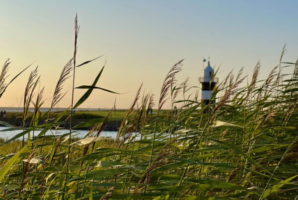 Das ergeben neueste Zahlen des Nordsee Tourismus Report (NTR). Wohin die Reise geht, zeigt ein Blick auf die Umfrageergebnisse des NTR hinsichtlich der Anfahrt mit dem Auto im Zeitverlauf von 2022 bis 2024. © Tanja-Klindworth