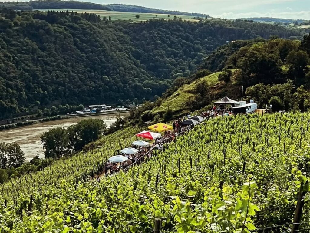Zwischen Rhein und Reben, wo der Blick weit und das Herz leicht wird, ist er wieder da: der Sommer, wie man ihn in der Loreley-Region kennt und liebt. © Tobias-Hartmann-„Reben-Beben-in-Bornich
