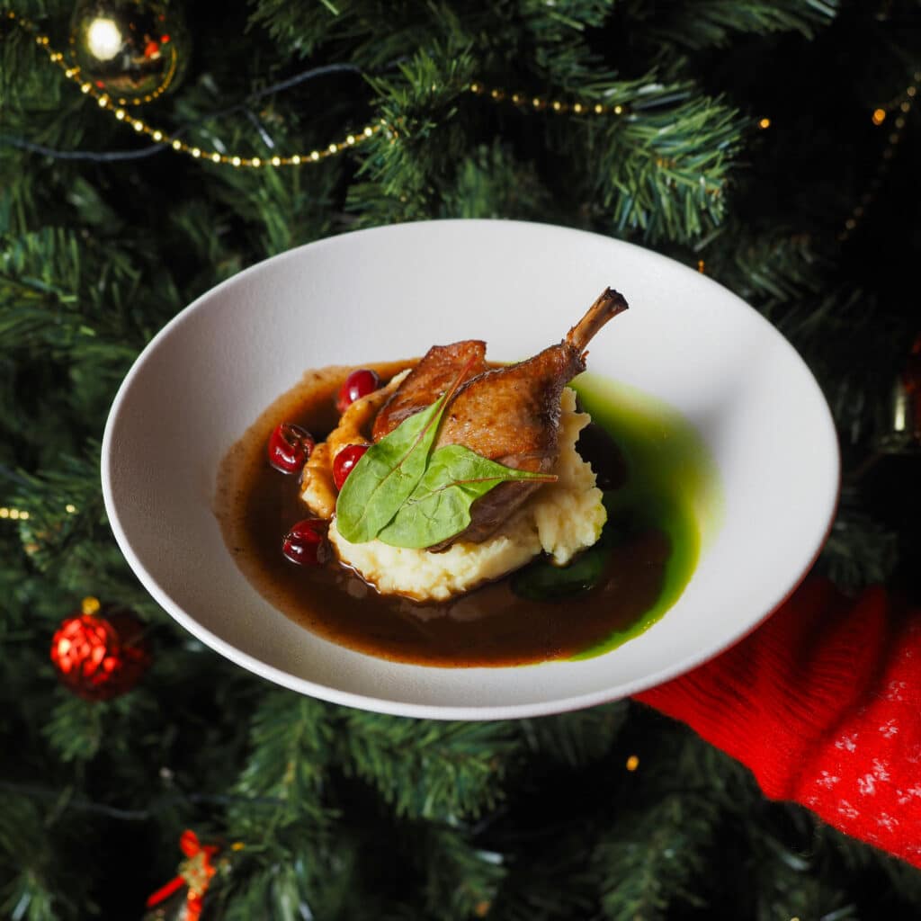 Ente-und-gans-Seehotel-Frankenhorst