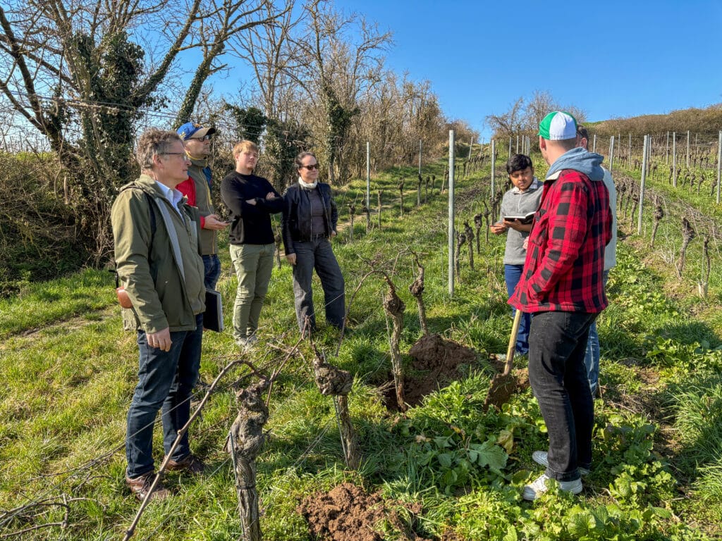 Ziel: Die Untersuchung der Frage: „Eignen sich Weinberge als CO2-Speicher?“ Wissenschaftlich ausgedrückt: Die Untersuchung der Wirkung von natürlichen CO2-Entnahmeverfahren durch die Ausbringung von Gesteinsmehl auf landwirtschaftlichen Flächen. © Sanderwein