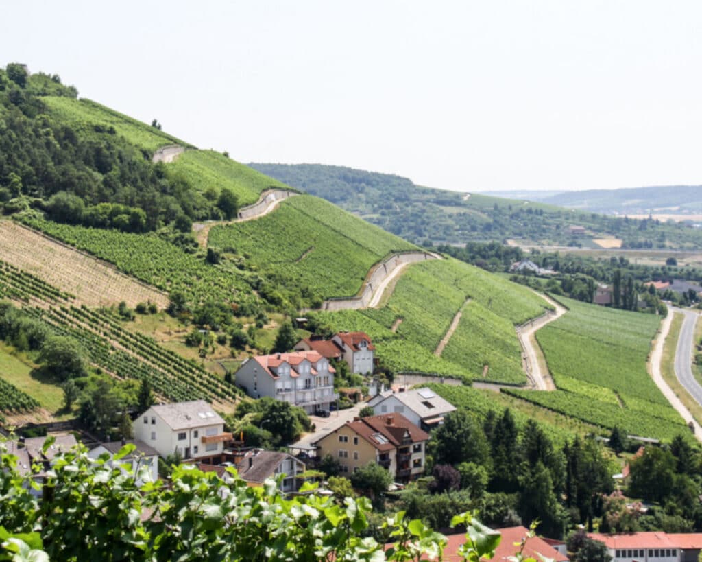 Weingut Schmachtenberger - Lage