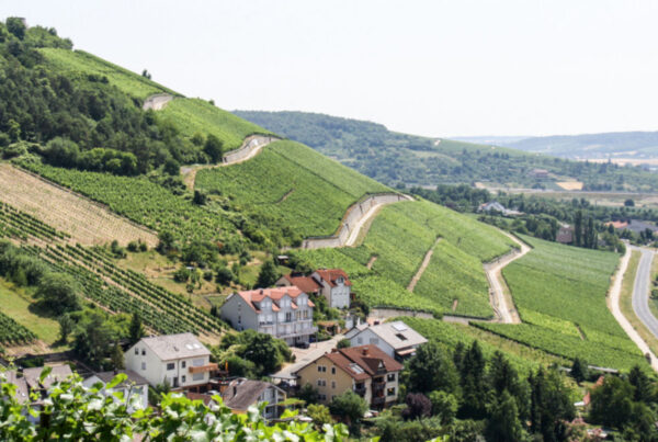 Weingut Schmachtenberger - Lage