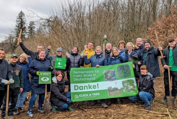 Click A Tree startet Weltrekordversuch